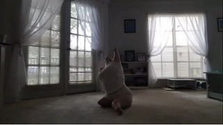 quad amputee dance