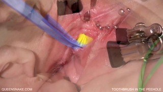 Queensnake.com – Tooth Brush In Peehole – Queensect.com