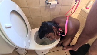 Lidský záchod Hindština Slut Receive Pissed on a Take Her Head Flush Následované Sání Dicka.