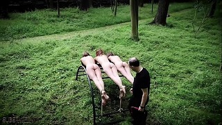 Three Teen Slaves Threatment & Punished in Wild Bondage