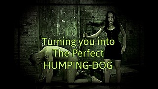 Turning You into the Flawless Humping Hound