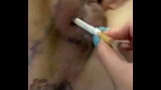 Flameon Femdom Rough CBT Burn Dick BDSM Cigarette 2