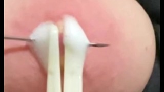 BDSM Painful Tits Tit Kidutus Nänni Lävistykset Needleplay