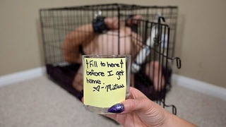 Bondage puppy-slaaf maakt fouten om in de beker klaar te komen voor Dominatrix - handsfree vibe-orgasme
