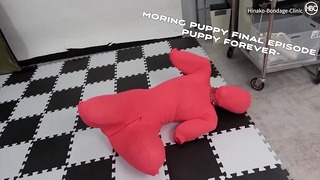 Moring Puppy utolsó epizód Hound Forever ヒトイヌFinal 永遠の仔犬