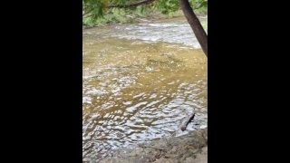 Diaperedslavea – Diaper Flashing By The Water