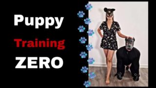 Femdom Mistress Puppy Play Tricks Humiliation Butt Plug Tail Orgasm
