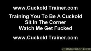 Humiliation A Cuckold Like You Is So Much Fun