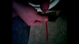 Insertion Piss