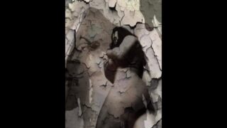 Nikki Phoenix Dark And Creepy