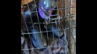 Scarlett Kage Bad Puppy Obedience – Bondage, Cage, Humiliation, Dildo Sucking, SPH