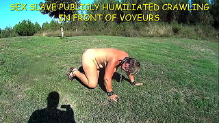 Suzi Public Humiliation
