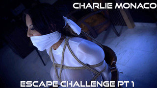 Amazing Bondage Video’s of Bound and Gagged Damsels Tied Up and Gagged ( GagAttack.NL )