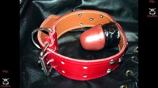 Spreadeagle, gagged, and whipped while tied to the bed
