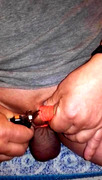 castration elastrator banding extrem 3