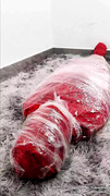 NANA Zentai and plastic 3 layers mummy bondage